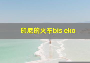 印尼的火车bis eko